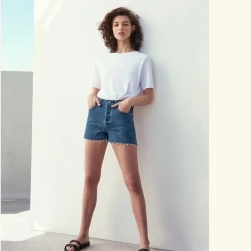 EVERLANE The Cheeky Denim Short